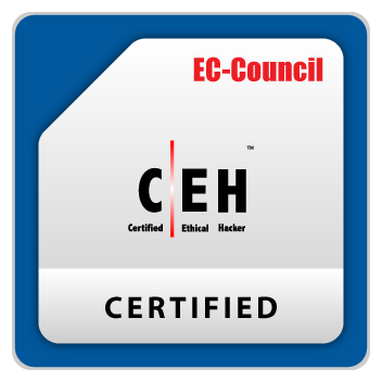 CEH v13 ExamPrep（Telegramサポート付き）Vin Ng著